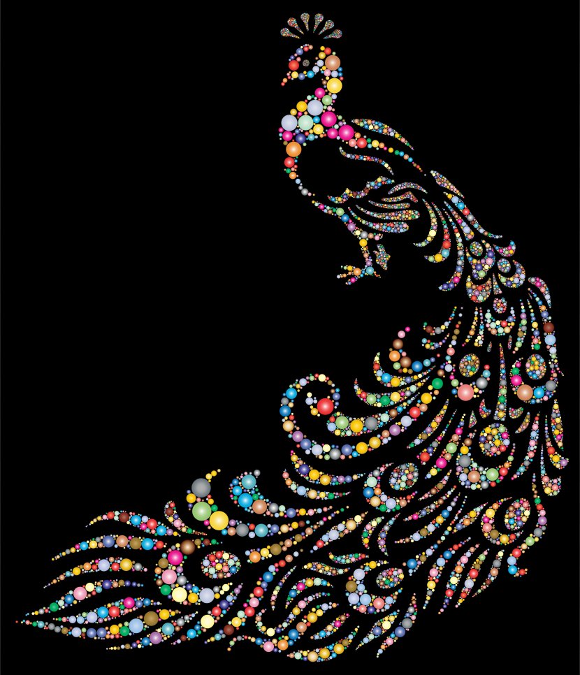 Asiatic Peafowl T-shirt Peacock Bird - Art Transparent PNG