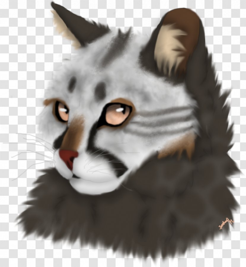 Whiskers Cat Tiger Snout Fur - Like Mammal Transparent PNG
