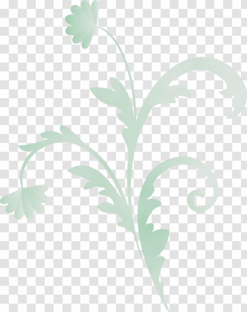 Leaf Green Flower Plant Pedicel Transparent PNG