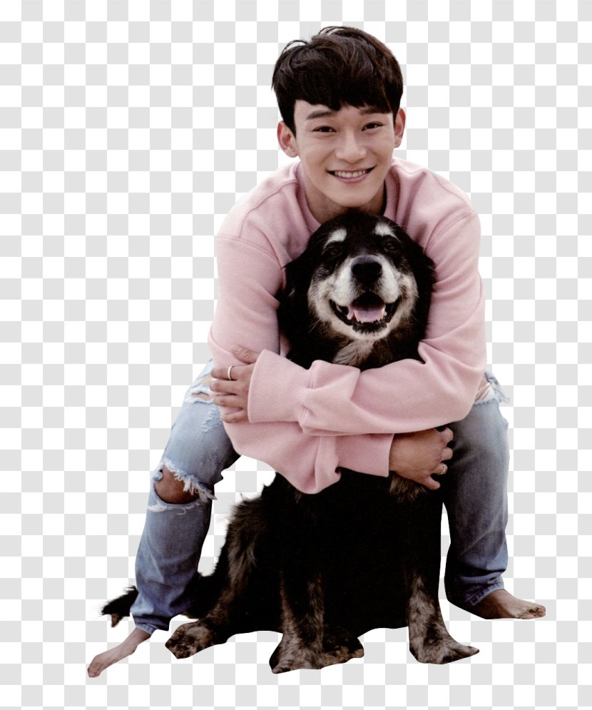 Chen EXO K-pop Musician XOXO - Dog Transparent PNG