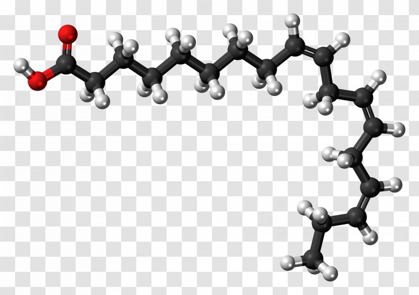 Alpha-Linolenic Acid Omega-3 Fatty Acids - Omega3 - Dna Transparent PNG