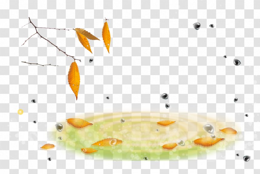 Autumn Leaf Deciduous - Plumbing Fixture - Leaves Transparent PNG