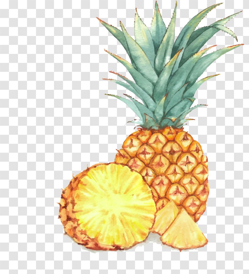 Fruit Watercolor Painting Drawing Illustration - Plant - Golden Pineapple Transparent PNG