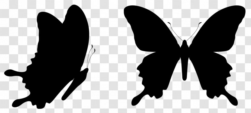 Butterfly Vector Graphics Clip Art Royalty-free Illustration - Logo - Silhouette Transparent PNG