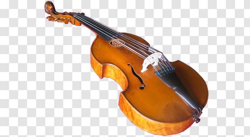 String Instruments Musical Double Bass Clef Viola - Tree Transparent PNG