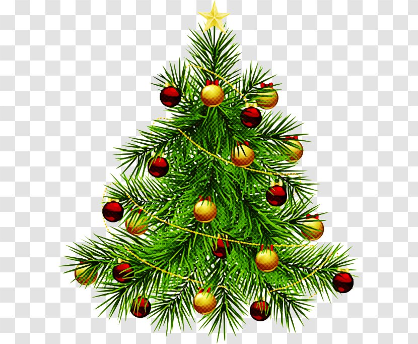 Christmas Tree - Decoration - Branch Ornament Transparent PNG