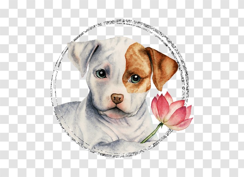 Dog Breed American Pit Bull Terrier Staffordshire T-shirt - Bulldog Transparent PNG