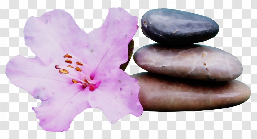 Purple Watercolor Flower - Louise Hay - Plant Transparent PNG