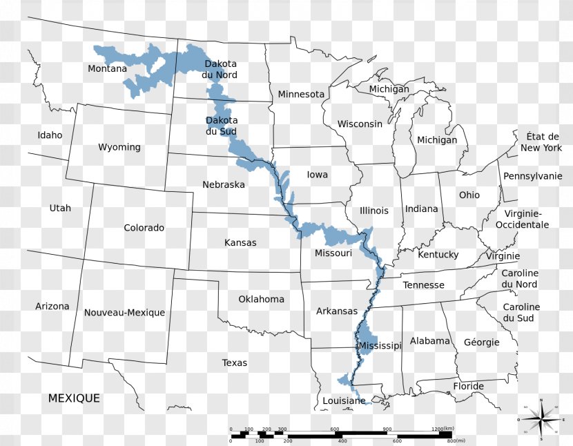 Mississippi River Missouri Actinopterygii - Area - Yangtze Transparent PNG