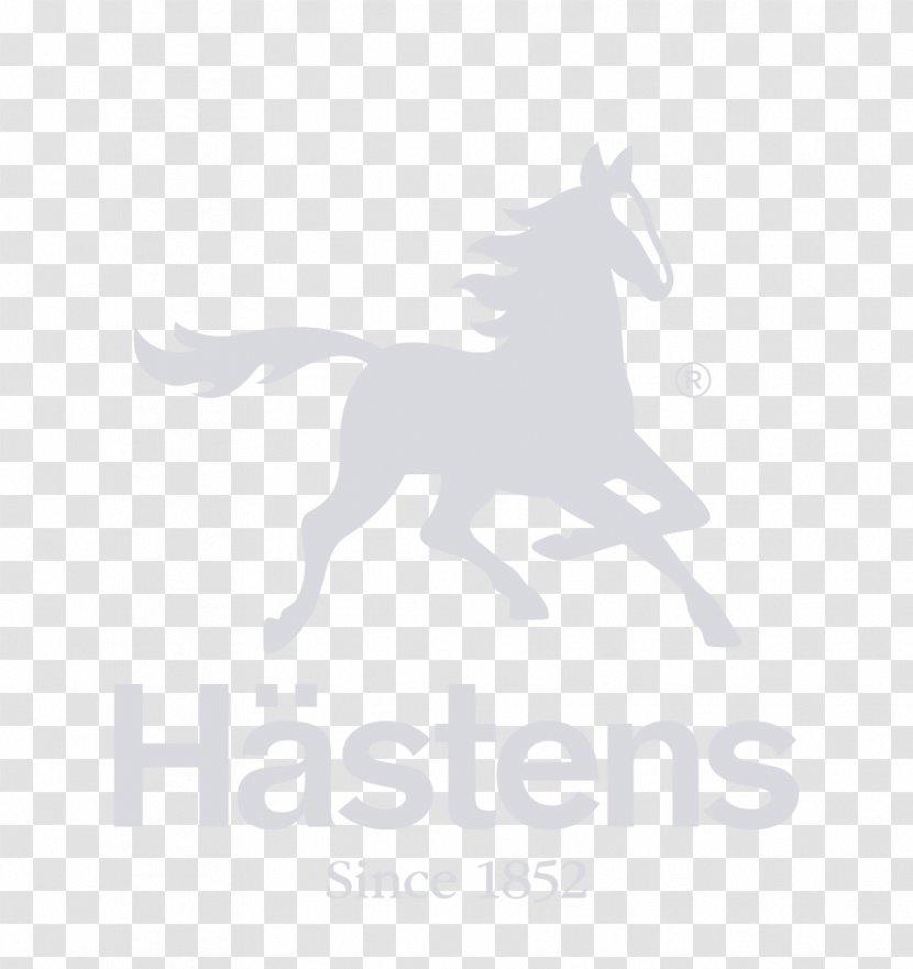 Hästens Bed Mattress Pillow Sleepy's - Headboard Transparent PNG