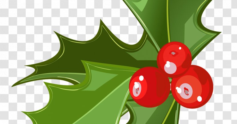 Mistletoe Candy Cane Christmas Phoradendron Tomentosum Clip Art Transparent PNG