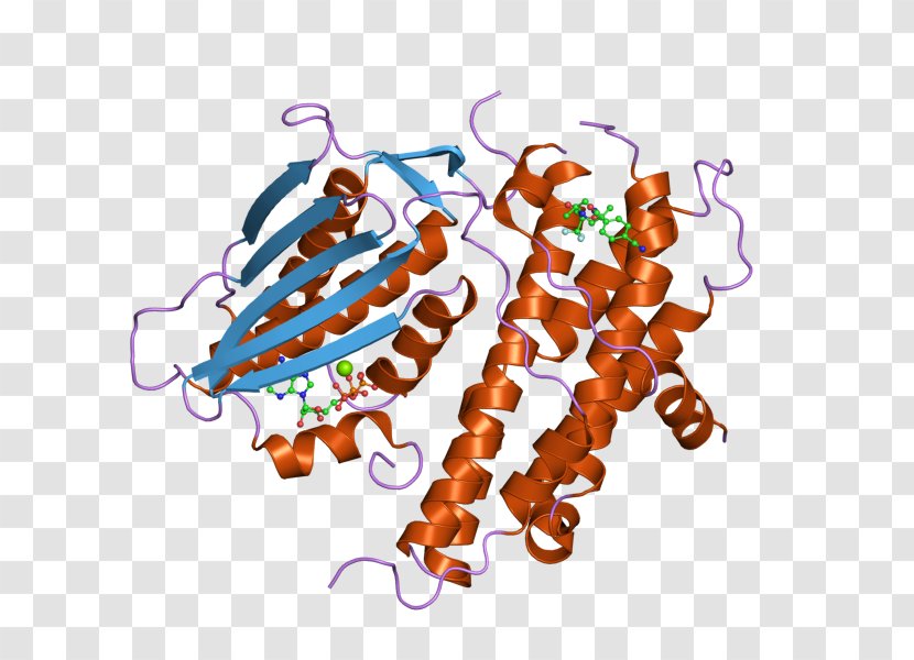 PDK2 Art Pyruvate Dehydrogenase Kinase Isozyme - Text Transparent PNG