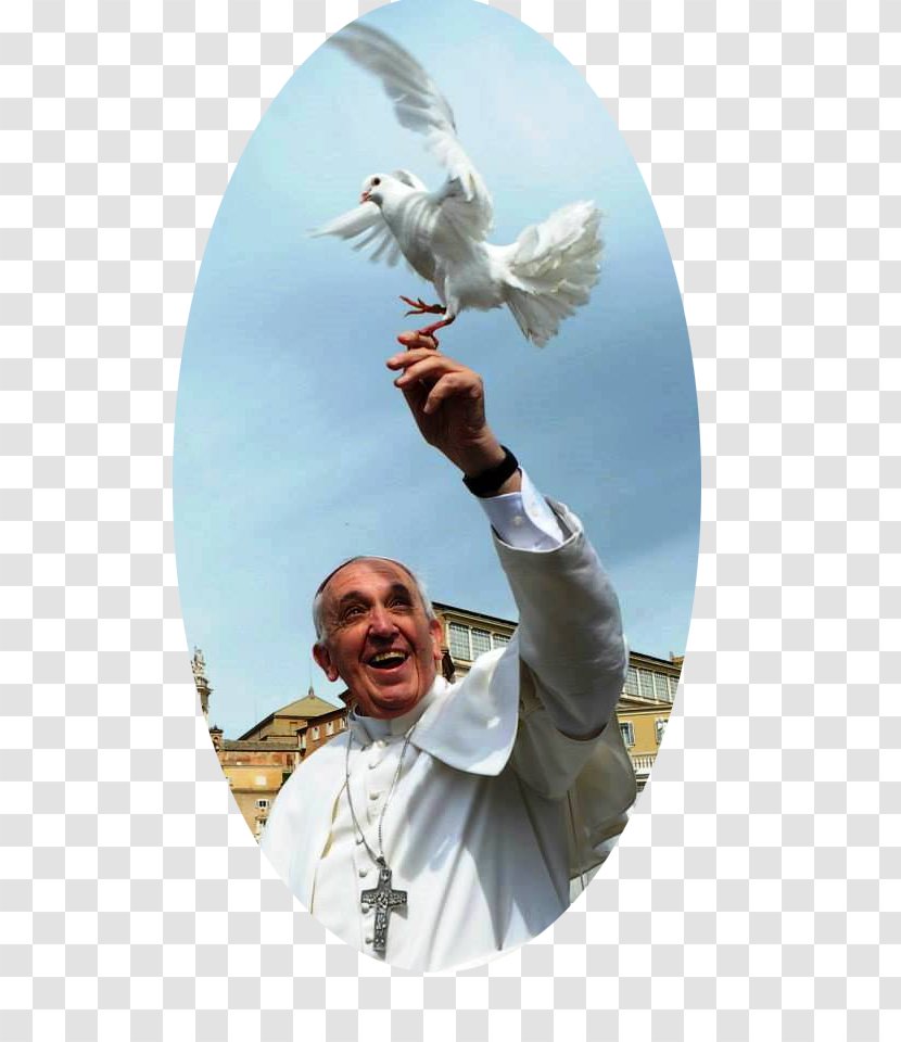 Pope Francis Vatican City Institute For The Works Of Religion Catholic Church - Assisi Transparent PNG