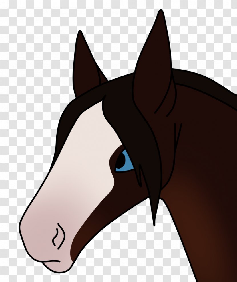 Dog Bridle Pony Donkey Mustang - Rein Transparent PNG