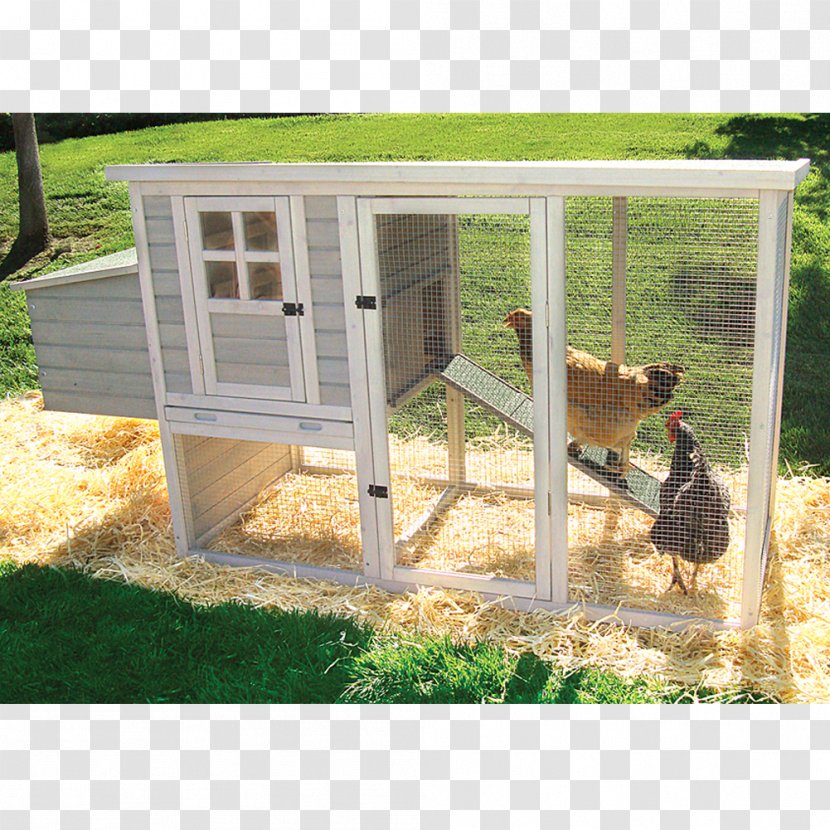 Chicken Coop Tractor Chickens As Pets Building Transparent PNG