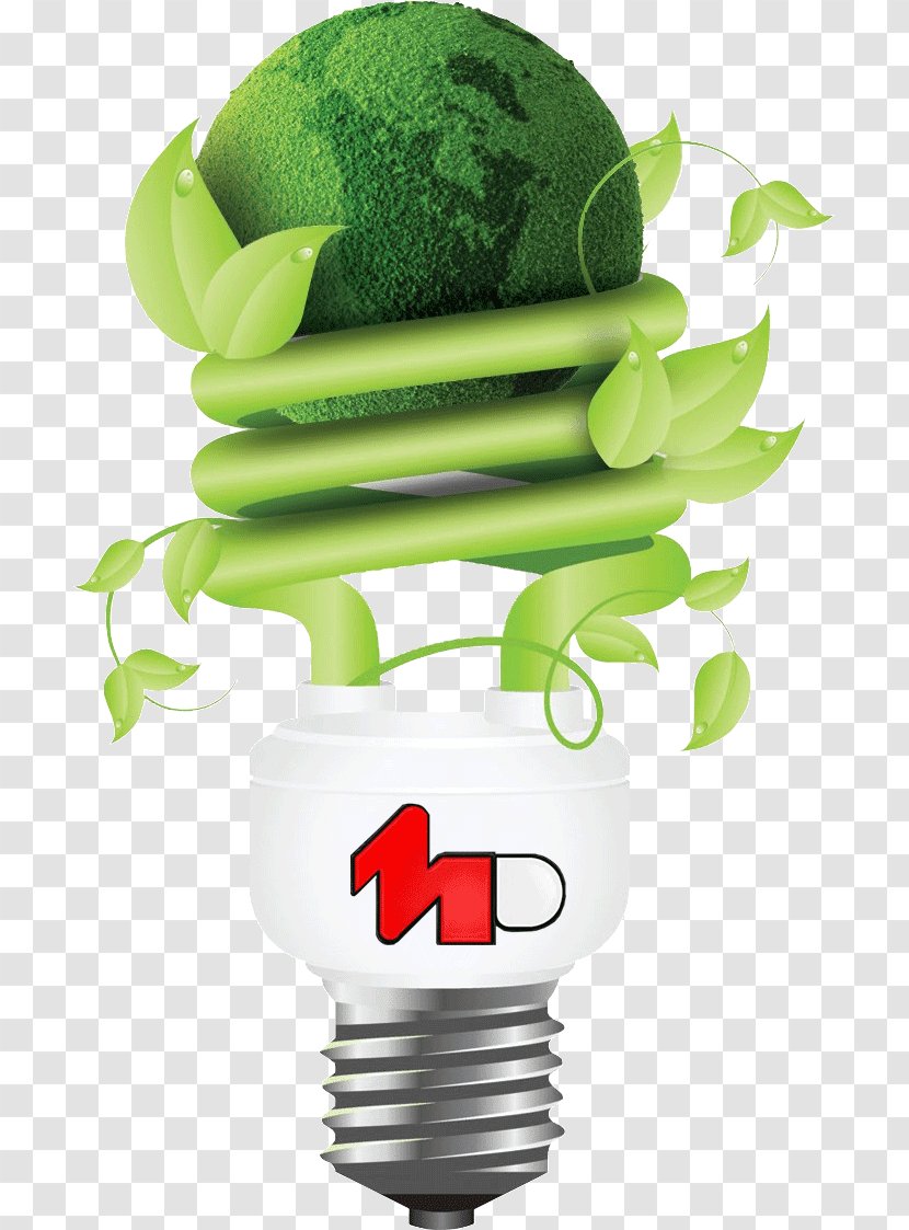 Lighting LED Lamp Energy Electricity - Saving - Light Transparent PNG