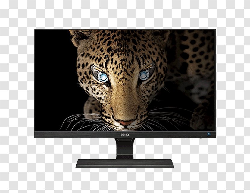 La Aurora Zoo BenQ Display Device Liquid-crystal Zoolxf3gico - Gamut - Smart TV Transparent PNG