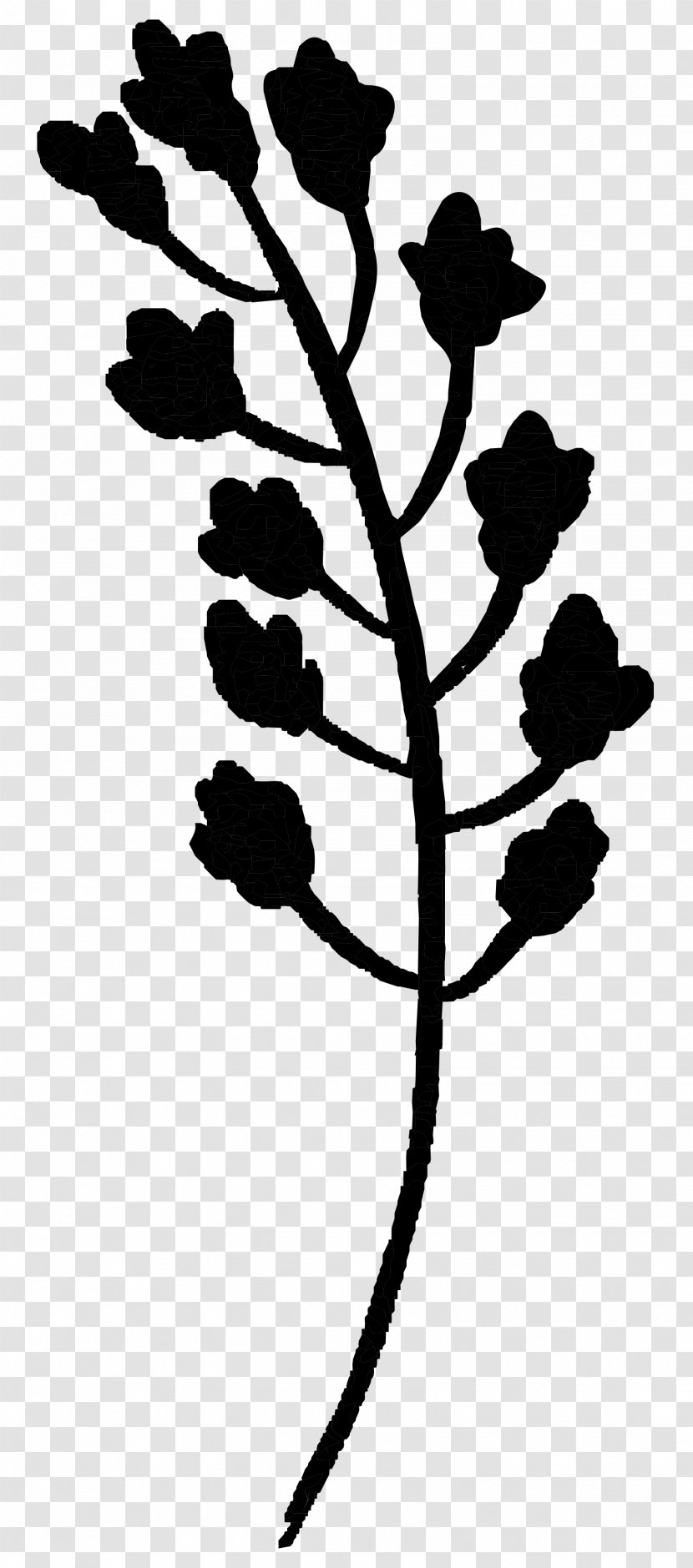 Twig Plant Stem Flower Leaf Line - Perennial - Plants Transparent PNG