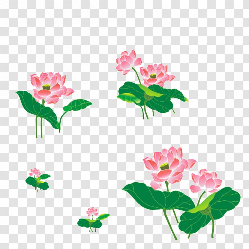 Floral Design Nelumbo Nucifera Cut Flowers Clip Art - Plant Stem - Hand-painted Lotus Transparent PNG