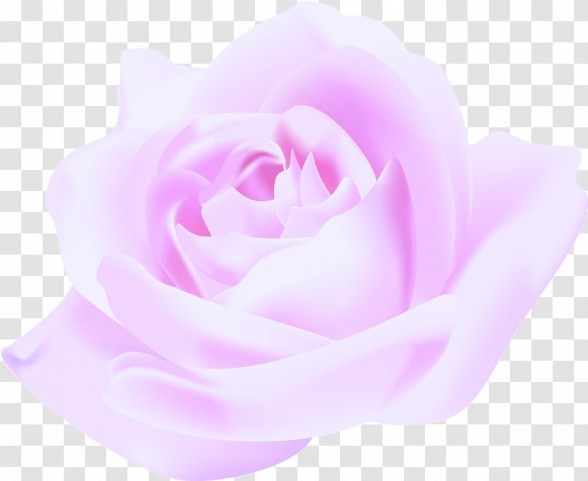 Flower Pink Violet Magenta - Lavender - Lilac Transparent PNG