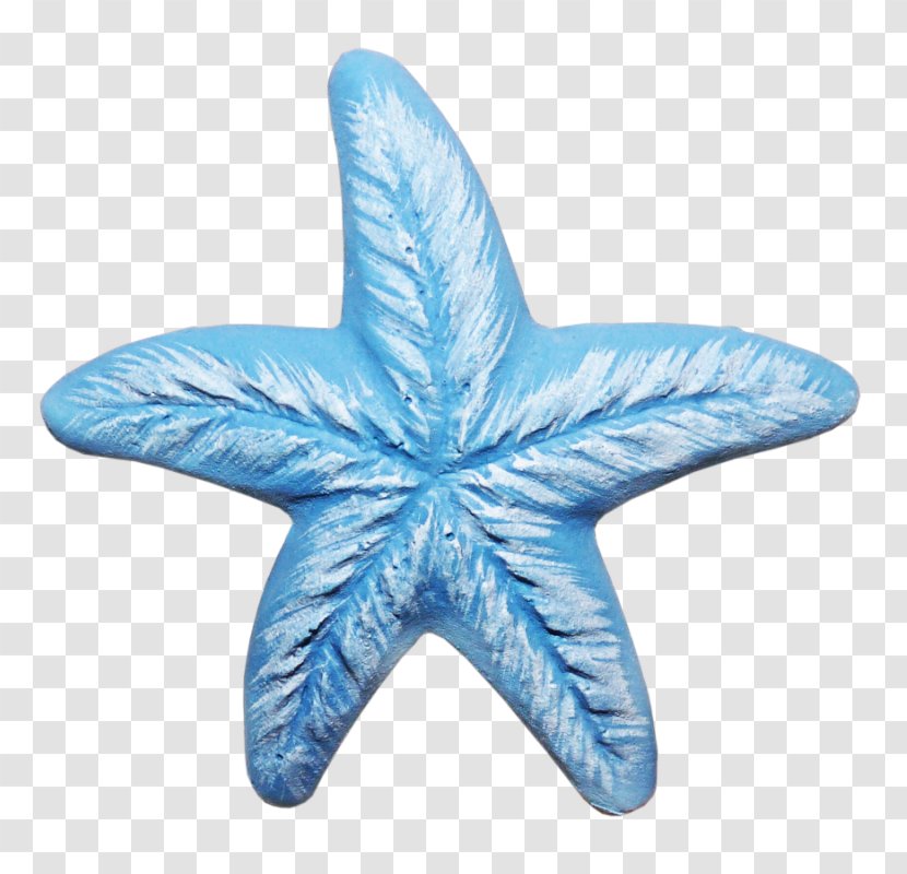 Starfish Linckia Laevigata - Blue Transparent PNG