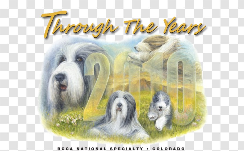 Bearded Collie Dog Breed Rough Old English Sheepdog Basset Hound - Obedience Trial Transparent PNG