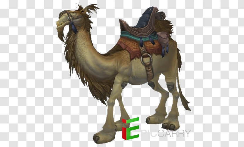 Dromedary Horse World Of Warcraft: Battle For Azeroth Legion Equestrian - Warcraft Transparent PNG