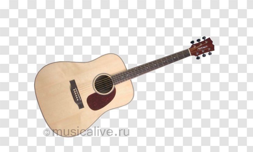 Steel-string Acoustic Guitar Acoustic-electric Bass - Cartoon Transparent PNG