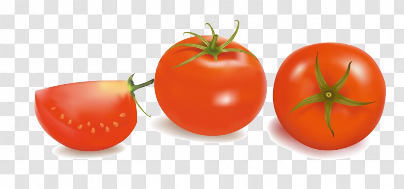 Plum Tomato Bush Vegetable - Clip Transparent PNG