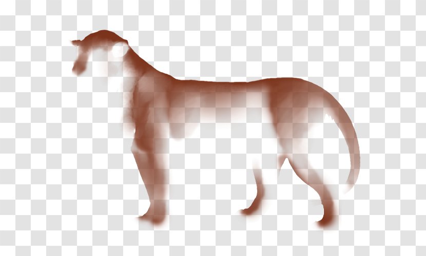 Dog Breed Italian Greyhound Puppy Cat - Tail Transparent PNG