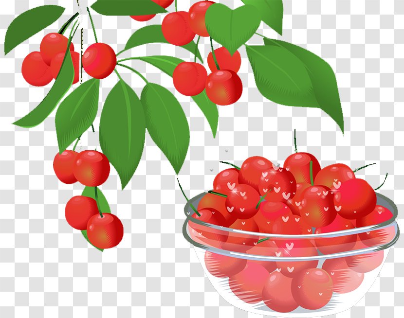 Barbados Cherry Lingonberry Cranberry Food Transparent PNG
