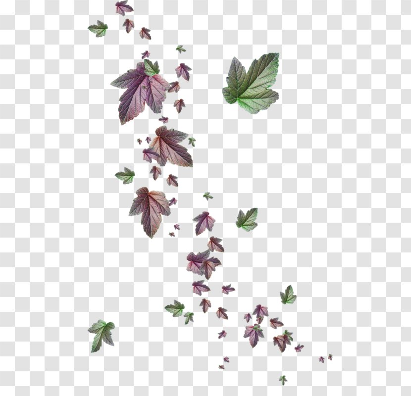 Магия зимы Petal Leaf Vinegar Valentines Plant Stem - Chemical Element - Branch Transparent PNG