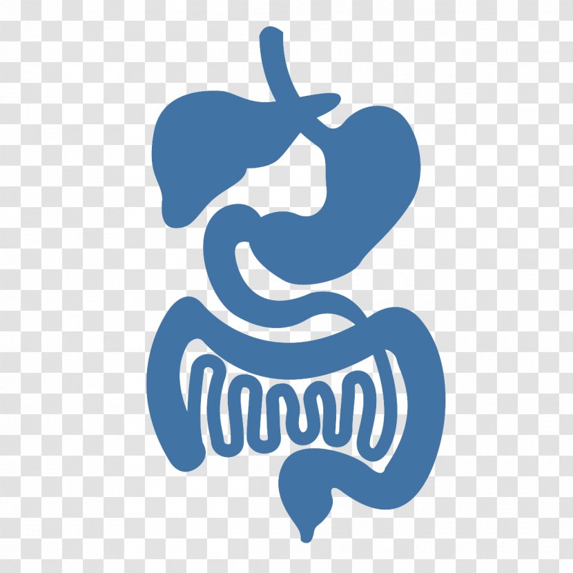 Gastrointestinal Tract Large Intestine Disease Human Digestive System Medicine - Gastroenterology - Health Transparent PNG