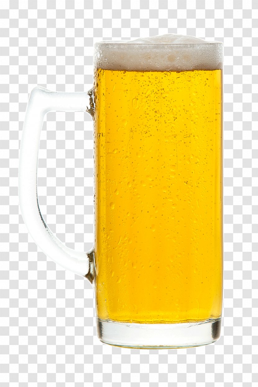 Beer Stein Pint Glass Glasses Transparent PNG