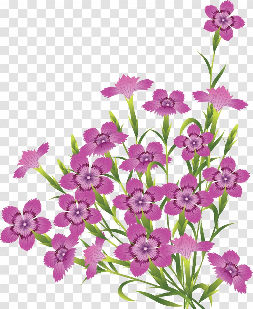 Flower Clip Art - Violet Transparent PNG