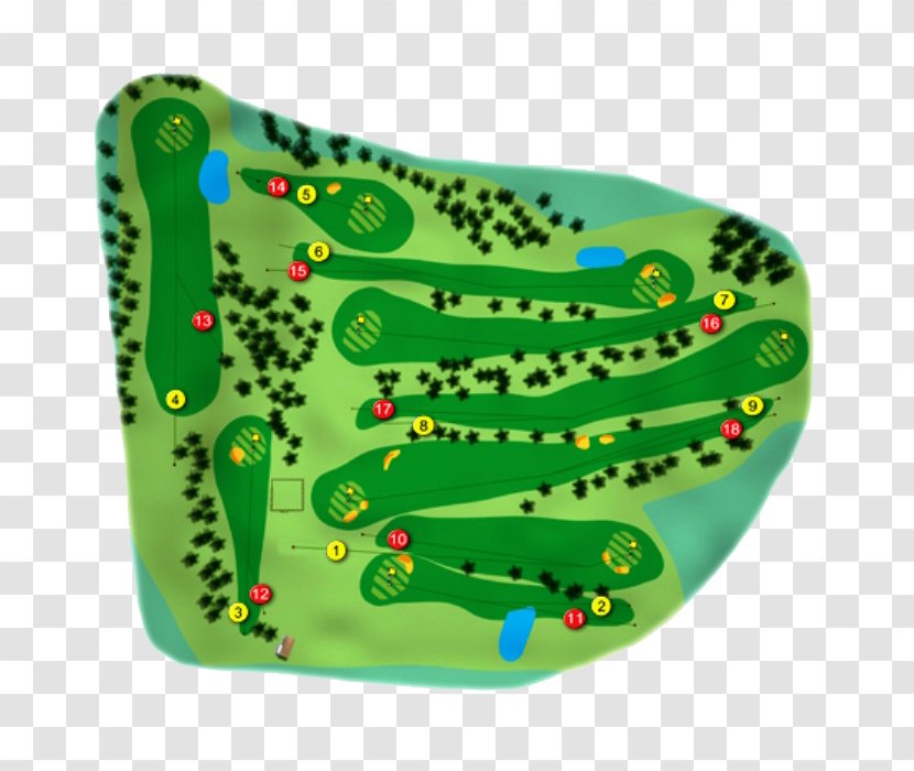 Golf Course Hole Tees Sport - Green Transparent PNG