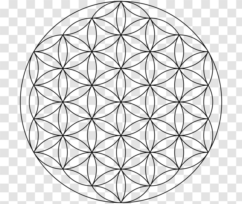 Overlapping Circles Grid Sacred Geometry Metatron Shape - Line Art Transparent PNG