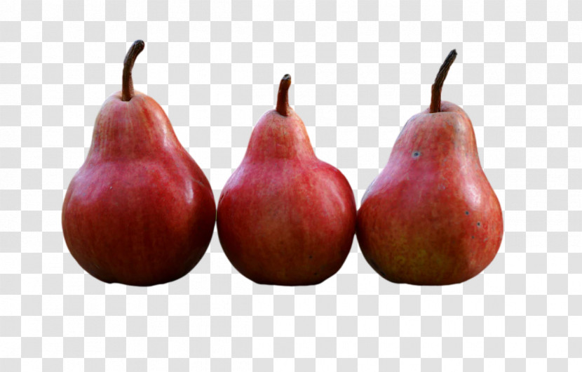 Fruit Tree Transparent PNG