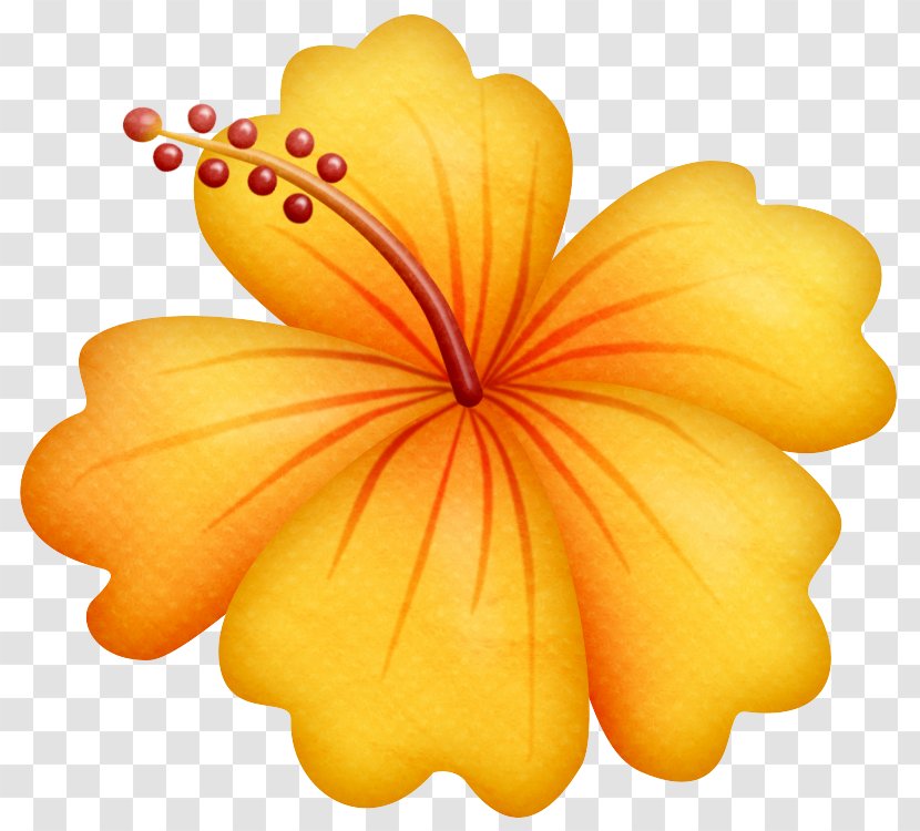 Hawaiian Hibiscus Yellow Petal Flower - Plant - Mallow Family Flowering Transparent PNG