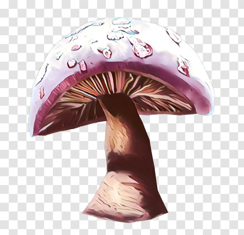 Bicycle Helmets Product Design Purple - Mushroom - Helmet Transparent PNG