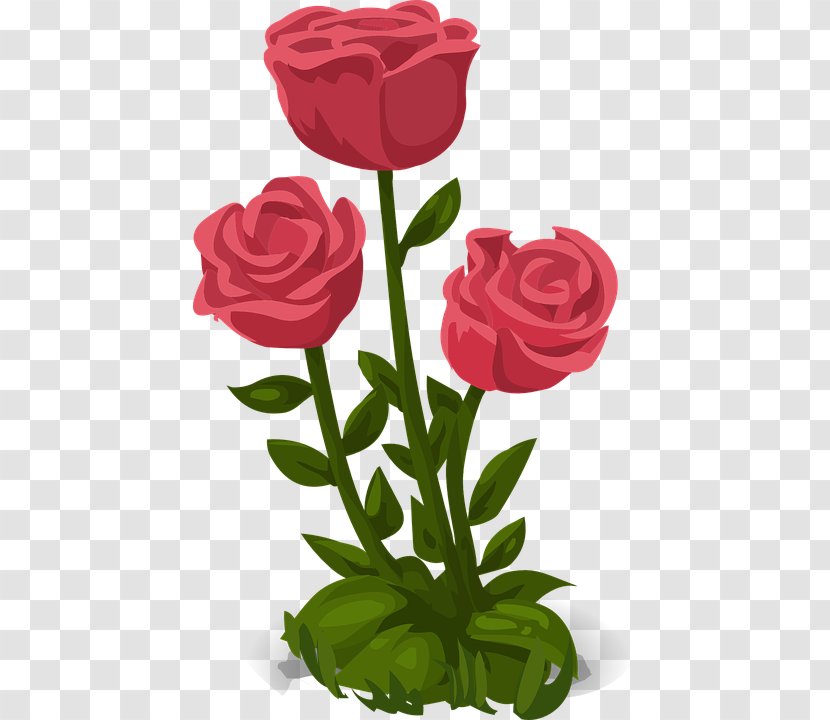 Rose Flower - Flowerpot - Happy Mothers Day Transparent PNG