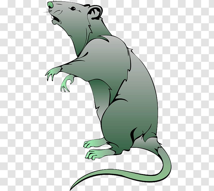 Dissection Of The Rat Clip Art Laboratory - Silhouette Transparent PNG