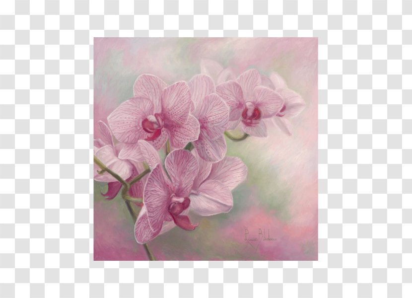 Watercolor Painting Oil - Drawing Transparent PNG