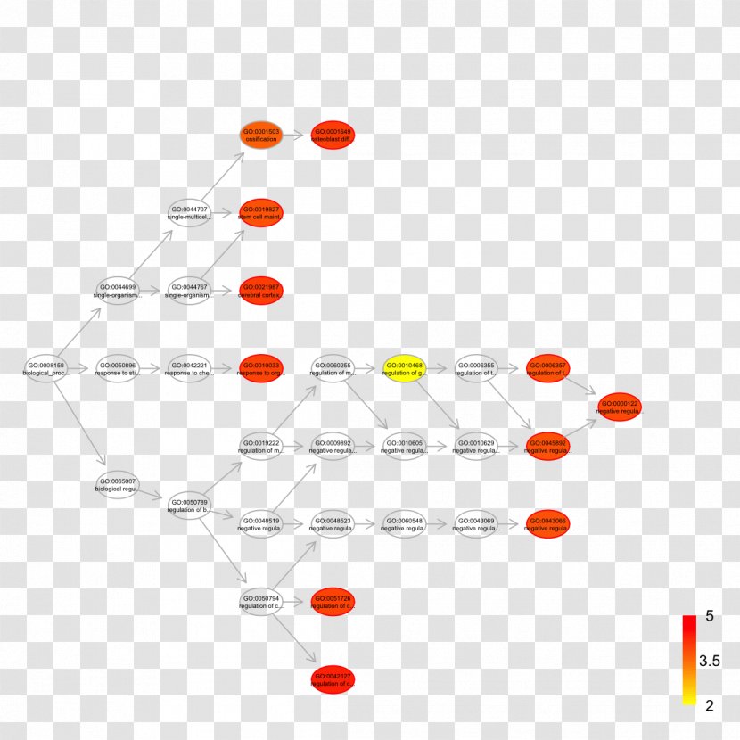 Line Point Diagram Transparent PNG