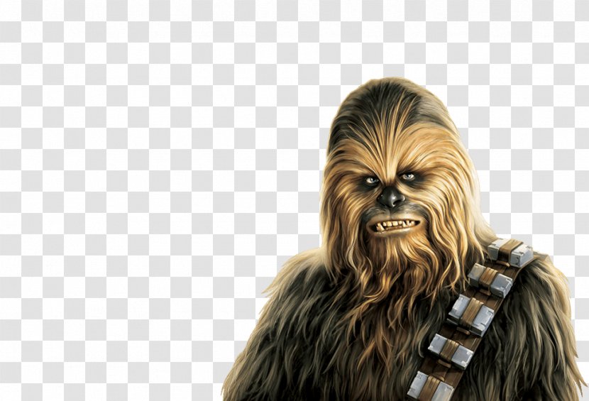 Chewbacca Anakin Skywalker Yoda Leia Organa C-3PO - Snout - Stormtrooper Transparent PNG