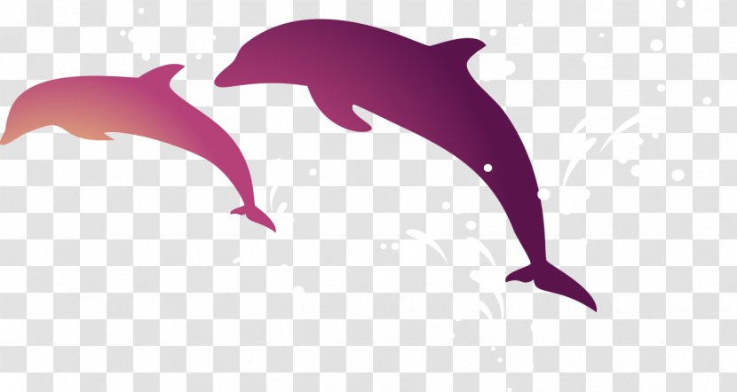 Tucuxi Short-beaked Common Dolphin Android Wallpaper - Mammal - Jumping Dolphins Transparent PNG