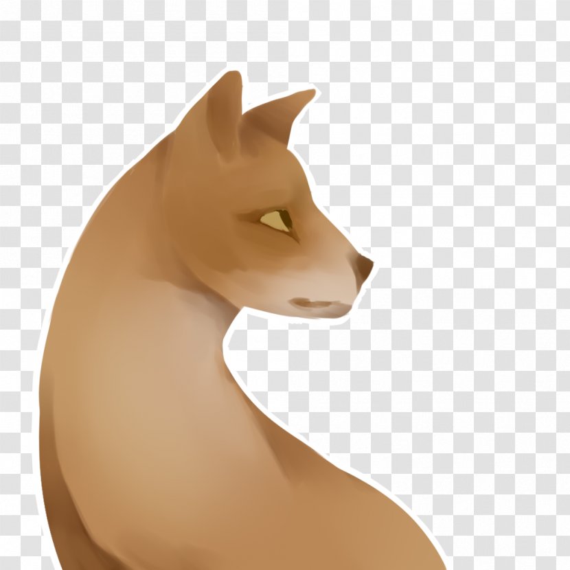 Whiskers Cat Snout Tail Transparent PNG