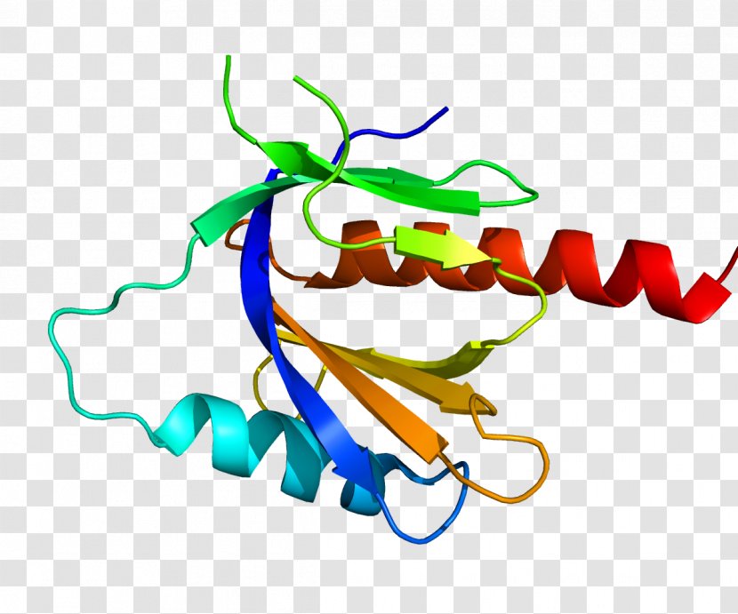 Amyloid Beta Precursor Protein Peptide - Frame Transparent PNG