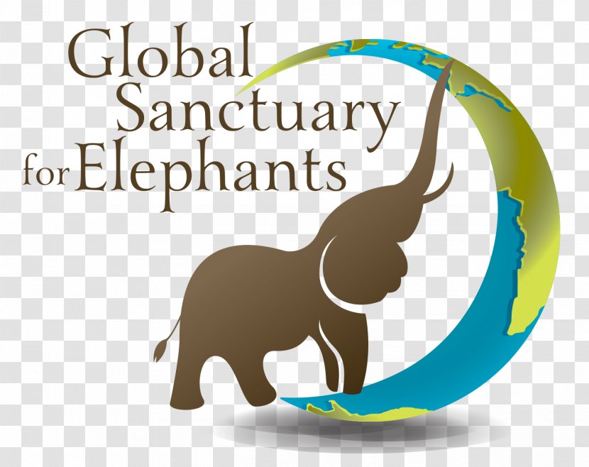 World Elephant Day Dog Asian - Wildlife Transparent PNG