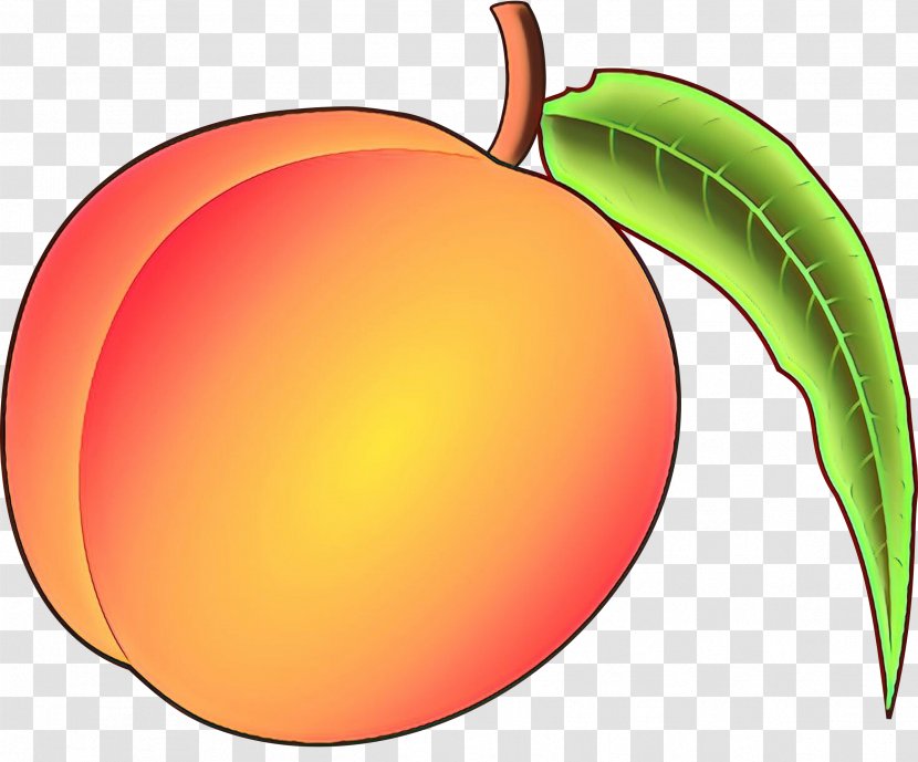 Clip Art Apple Peach Image - Citrus - Flowering Plant Transparent PNG